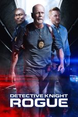 DETECTIVE KNIGHT: ROGUE (2022) Sub Indo